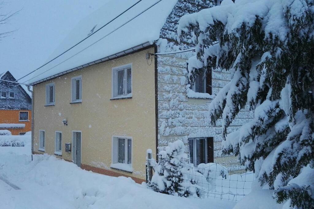 Ferienwohnung In Mittelsaida Grosshartmannsdorf Екстер'єр фото
