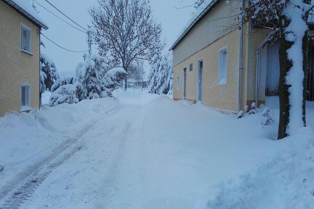 Ferienwohnung In Mittelsaida Grosshartmannsdorf Екстер'єр фото